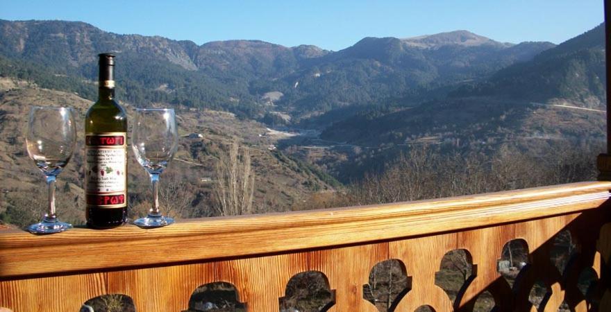 La Petri Studios With Fireplace & View Metsovo Ngoại thất bức ảnh