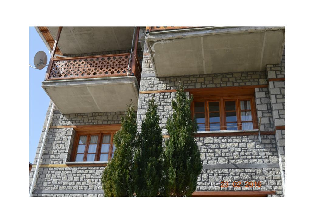 La Petri Studios With Fireplace & View Metsovo Ngoại thất bức ảnh